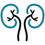 Urology